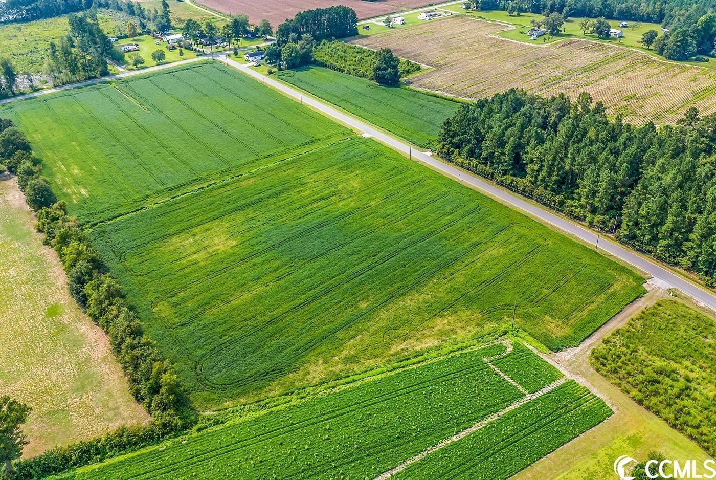 image shows aerial of farmland for sale by Jackie Taylor, Berkshire Hathaway Home Services Realtor in Myrtle Beach SC